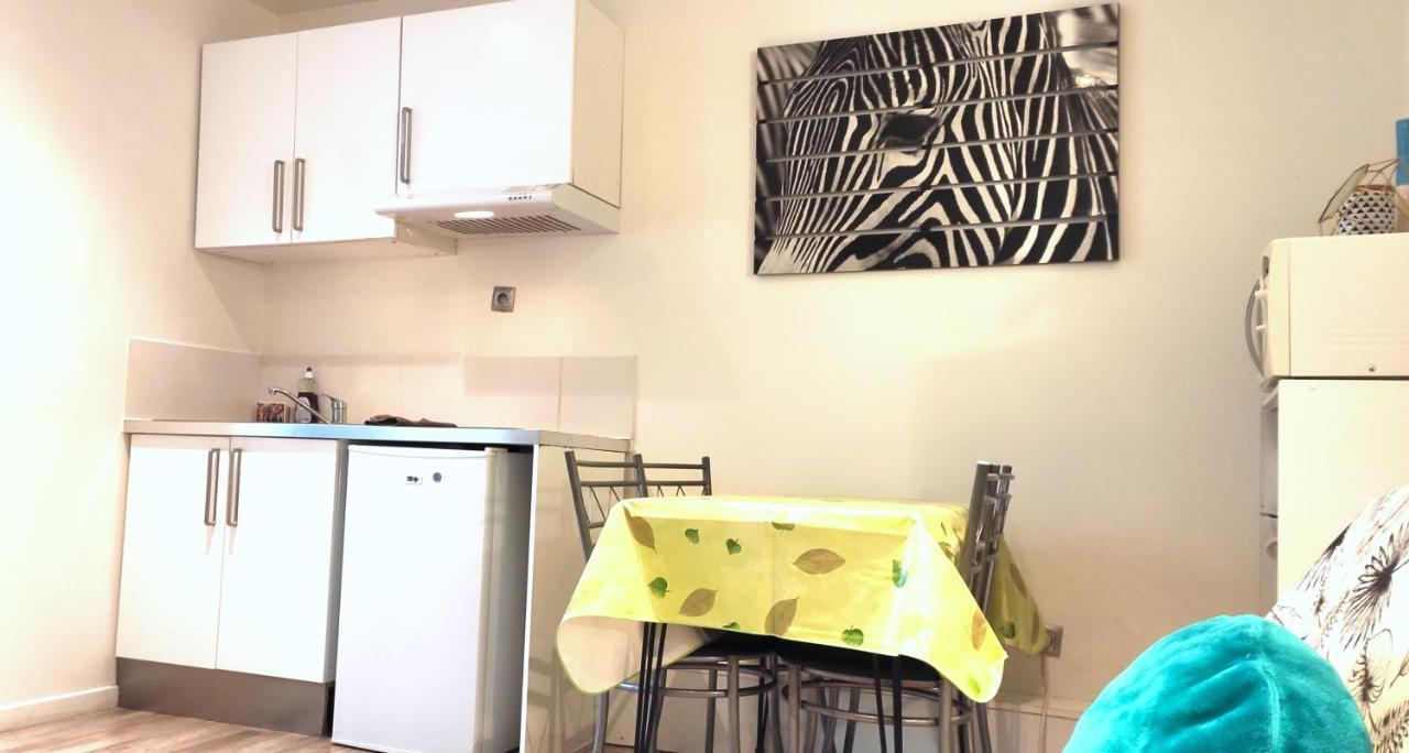 Grand Studio Cahors Centre Rdc Proche Gare Pont Valentre Appartement Buitenkant foto