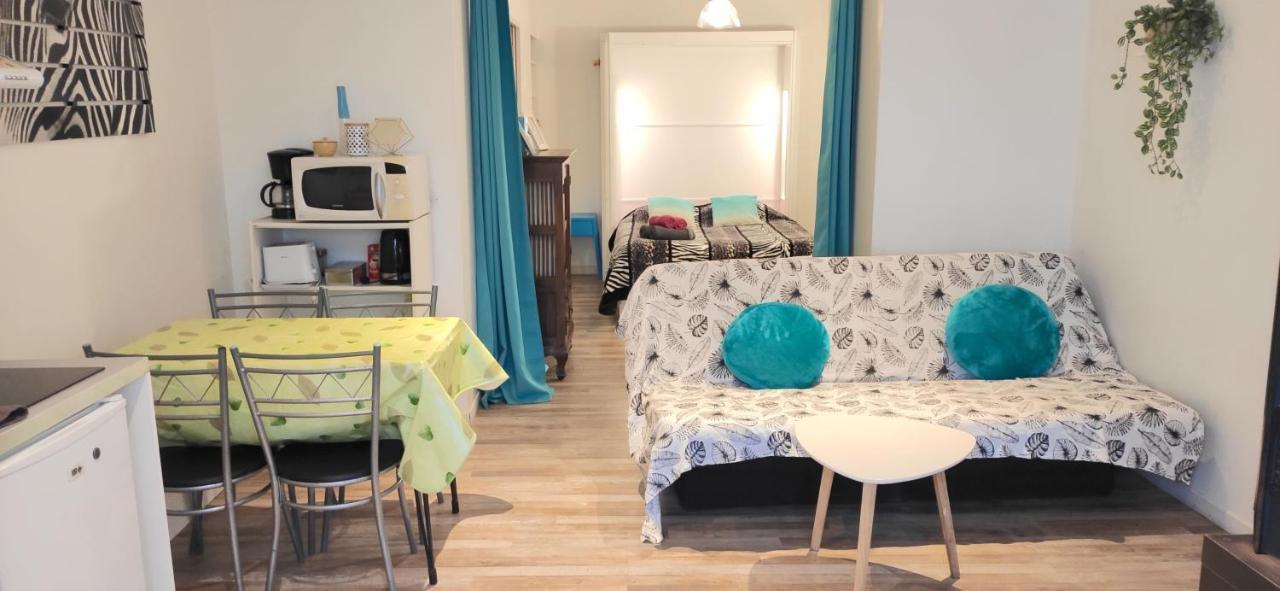 Grand Studio Cahors Centre Rdc Proche Gare Pont Valentre Appartement Buitenkant foto